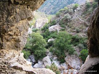 stoleone-02-09-2015 18-48-55
